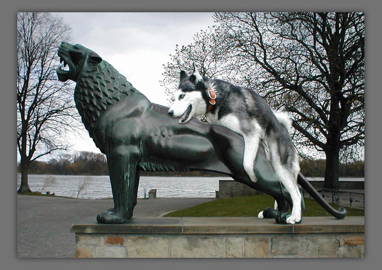 Fotomontage von Frank Jankowski